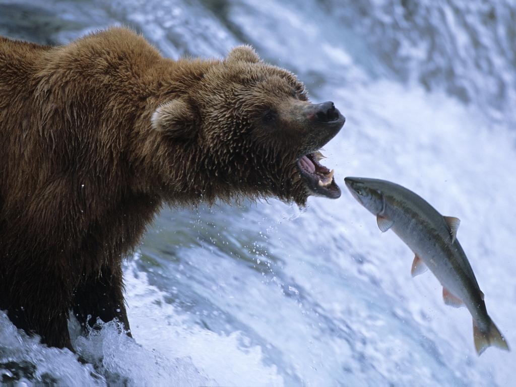 Величайшие явления природы (velichajshie-javlenija-prirody) Документальный сериал