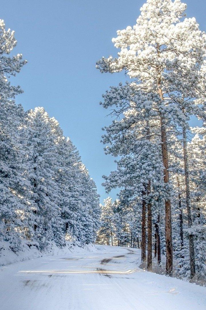 По зимнему лесу на соболях (po-zimnemu-lesu-na-soboljah) Досуг, хобби