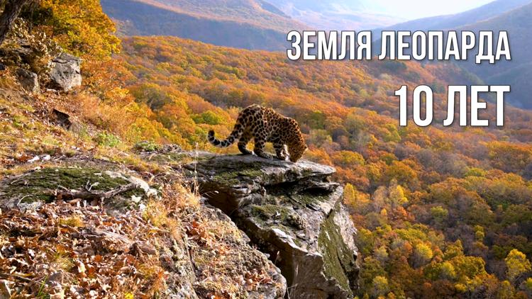 Постер Земля леопарда. 10 лет