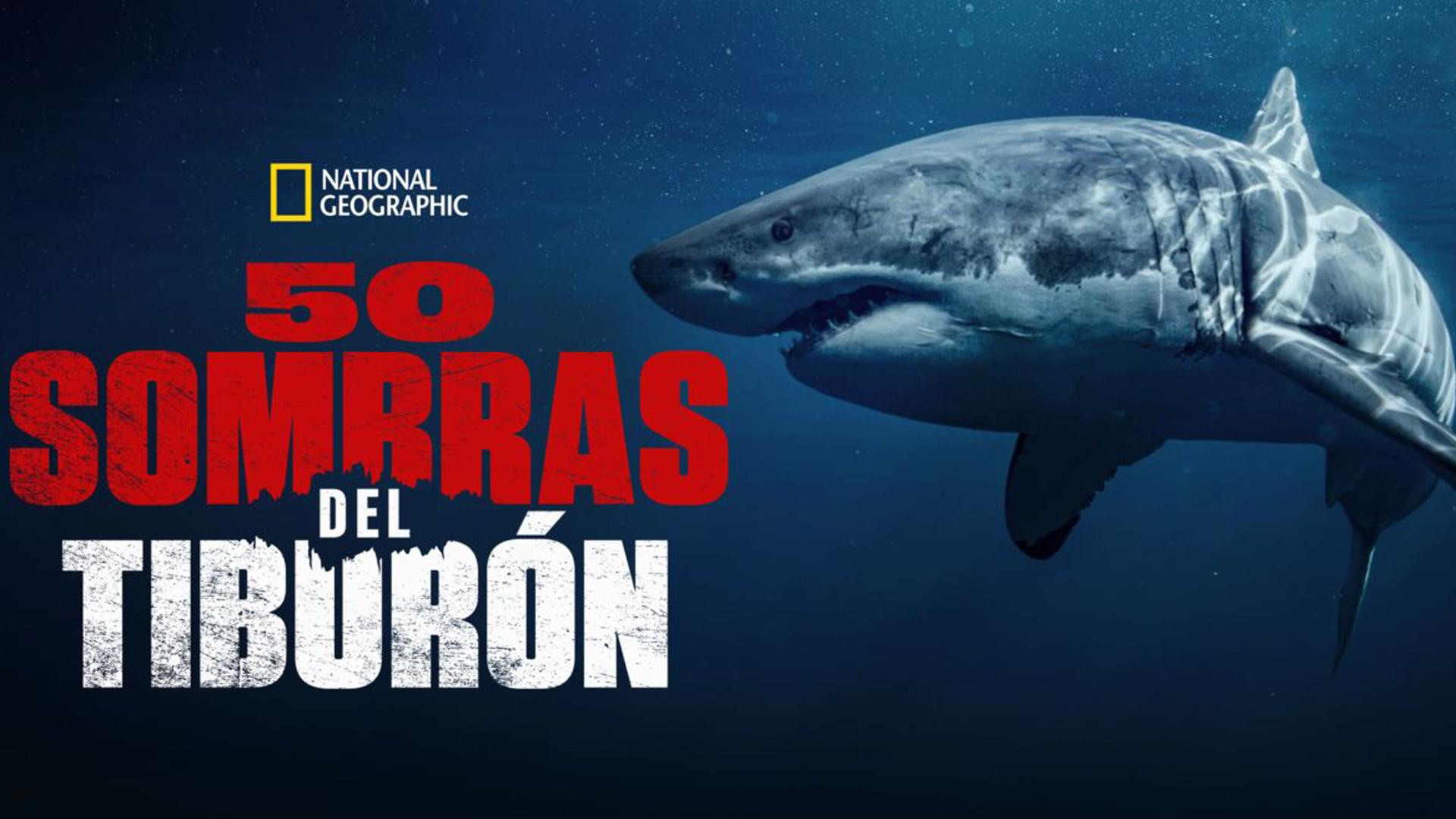 50 sombras del tiburón (50-sombras-del-tiburn) Познавательное