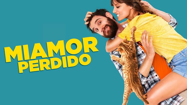 Постер Miamor perdido