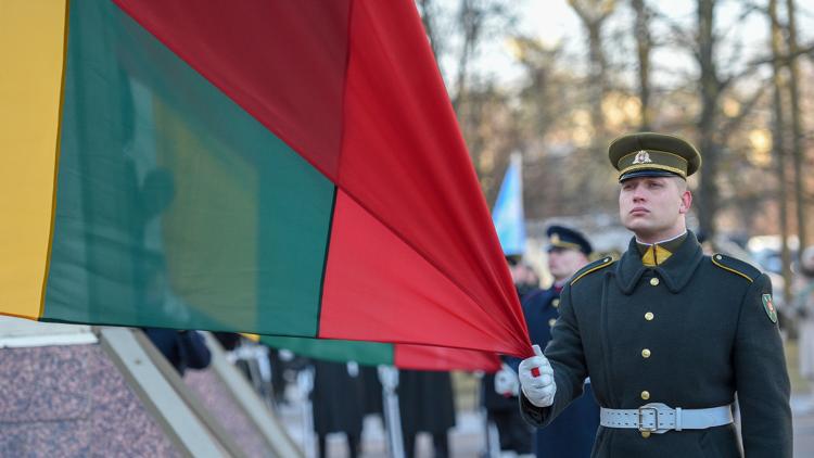 Постер Laisvės gynėjų diena. Valstybės vėliavos pakėlimo ceremonija