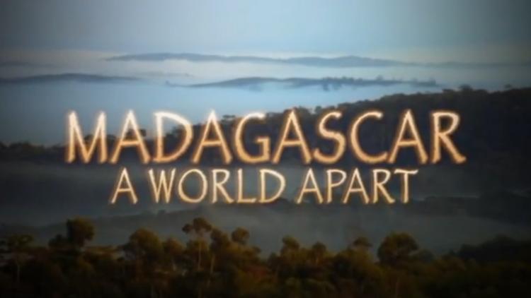 Постер Madagascar: un mundo aparte