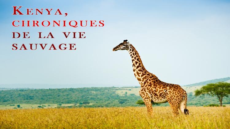 Постер Kenya, chroniques de la vie sauvage