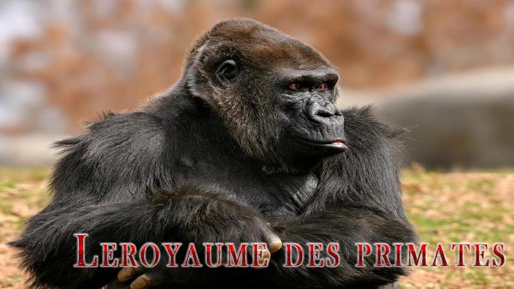 Постер Leroyaume des primates