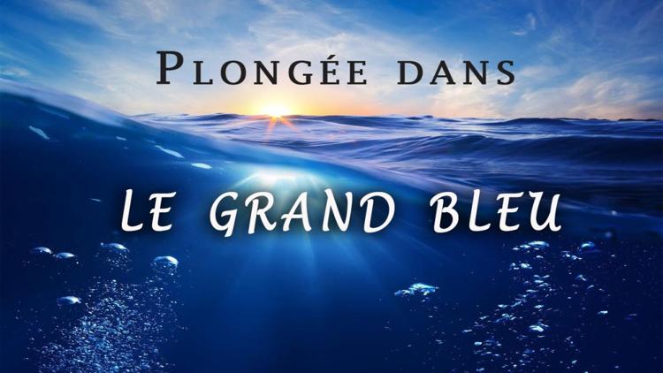 Постер Plongée dans le grand bleu