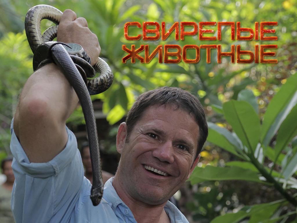 Свирепые животные (svirepye-zhivotnye) Документальный сериал