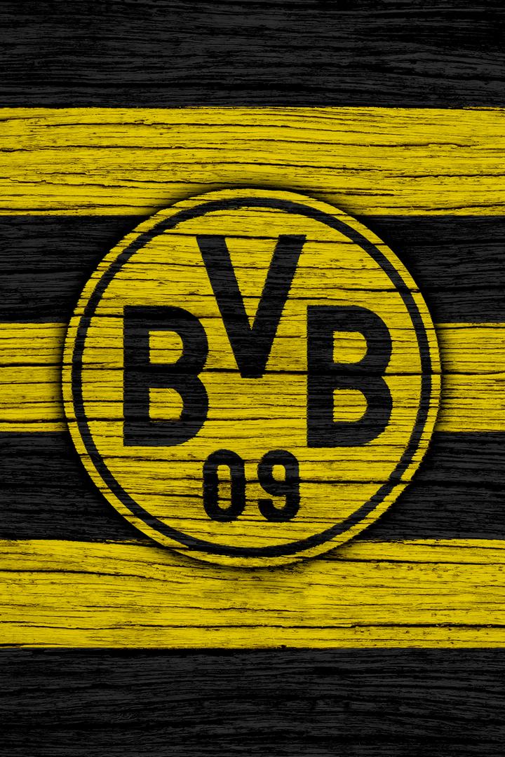 Dortmund goals season 2022/2023 (dortmund-goals-season-20222023) Досуг, хобби