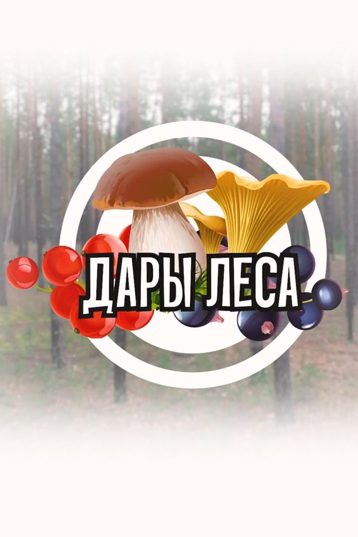 Дары леса (dary-lesa) Познавательное