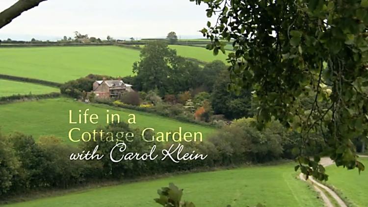 Постер Life in a Cottage Garden with Carol Klein