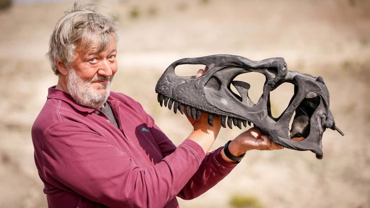 Постер Dinosaur with Stephen Fry