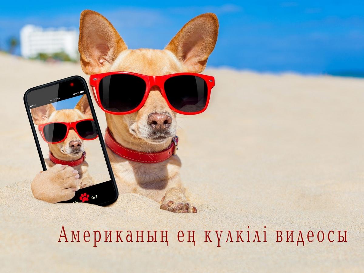 Американың ең күлкілі видеосы (amerikany-e-klkl-videosy) Юмор