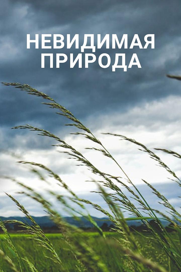 Невидимая природа (nevidimaja-priroda) Документальный фильм