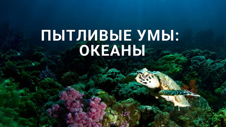 Постер Пытливые умы: Океаны