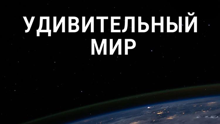 Постер Удивительный мир