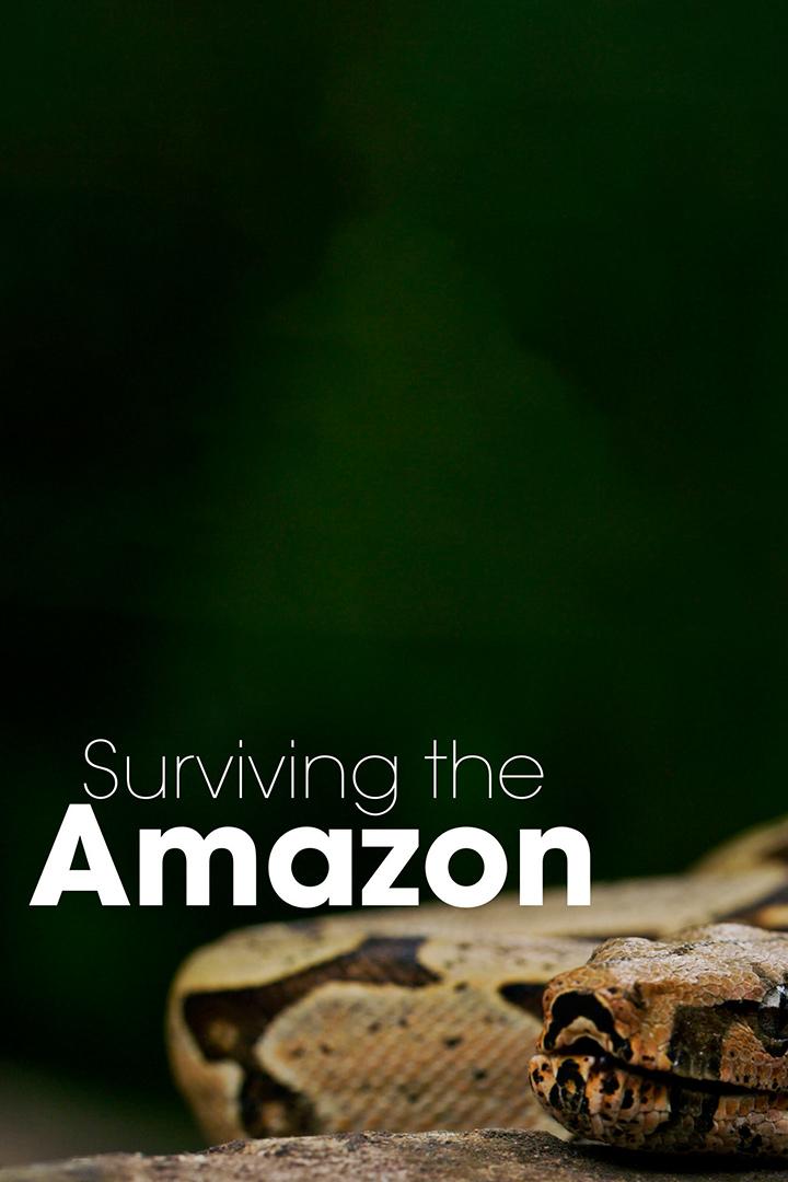 Surviving the Amazon (surviving-the-amazon) Познавательное