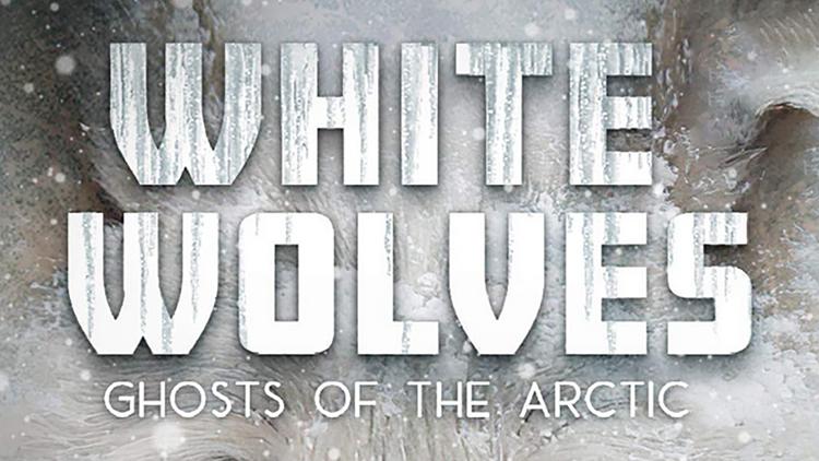 Постер White Wolves: Ghosts of the Arctic