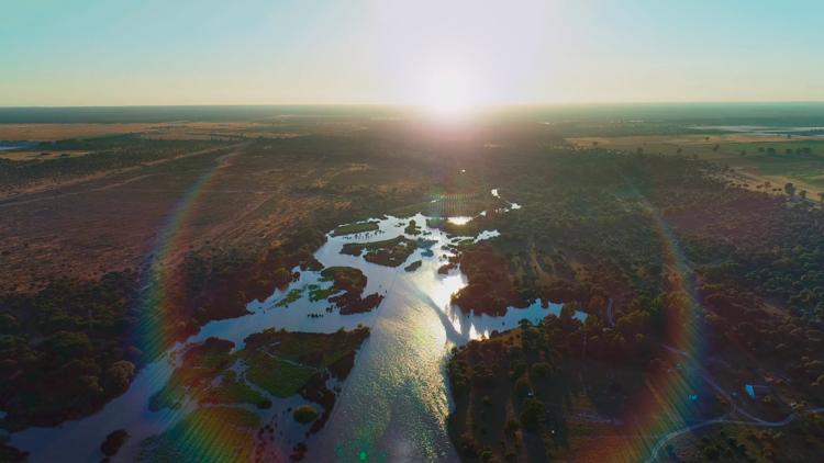 Постер Wetlands – l’héritage de Luc Hoffmann