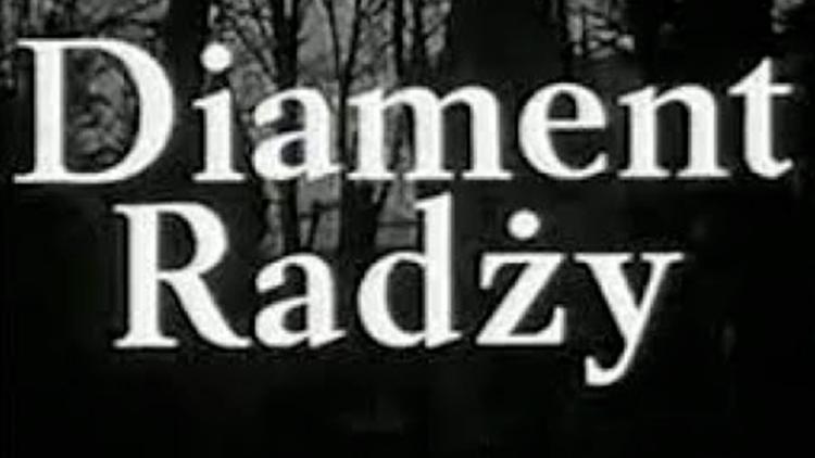 Постер Diament radży