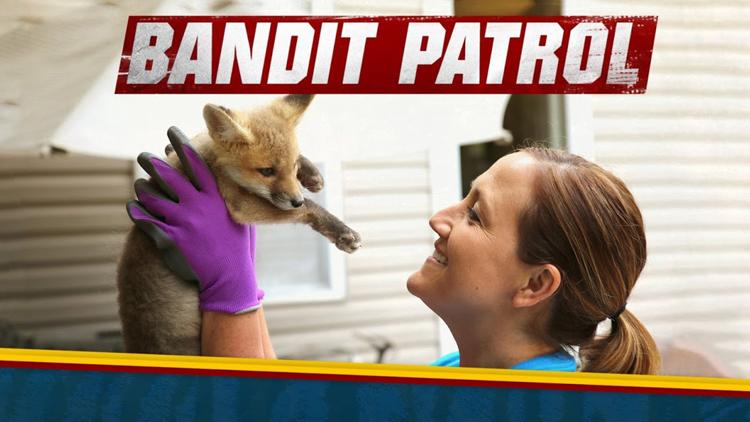 Постер Bandit Patrol