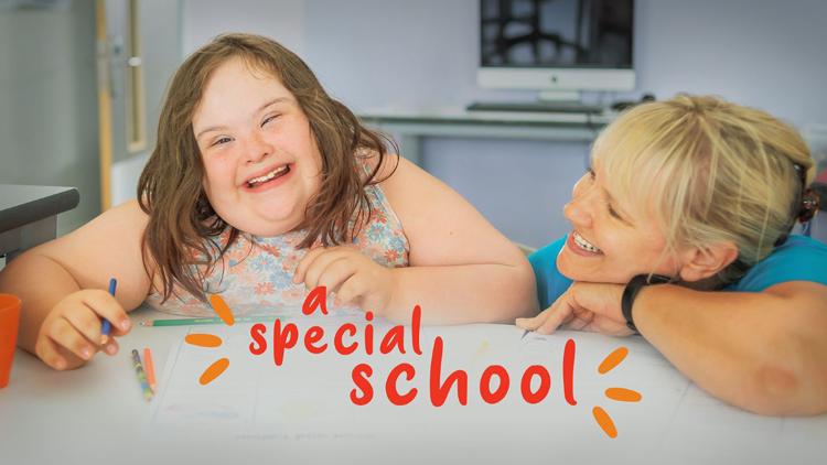 Постер A Special School