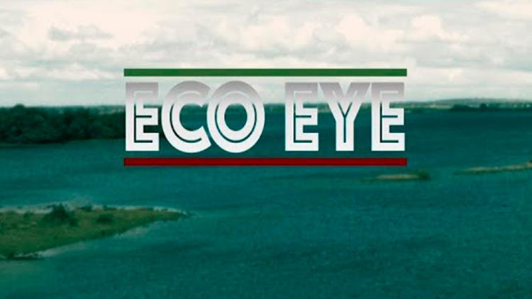 Постер Eco Eye