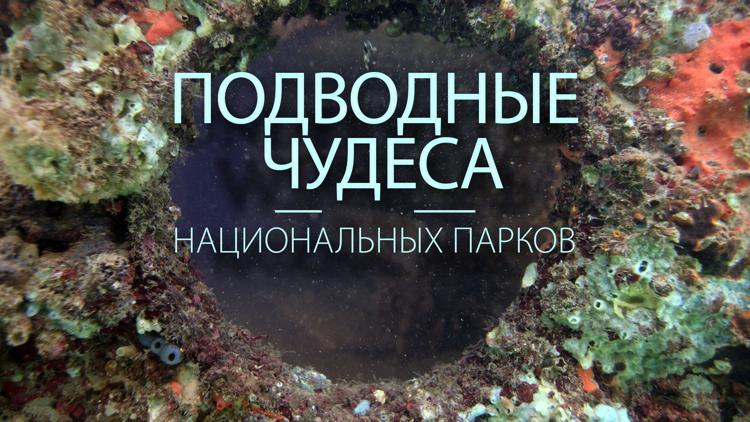 Постер Подводные чудеса национальных парков