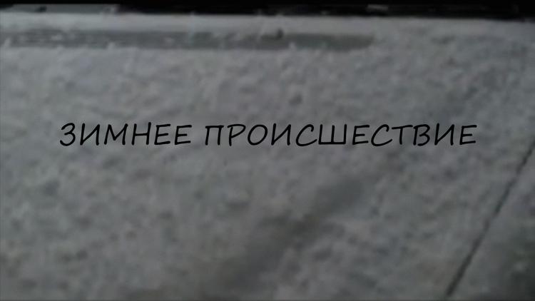 Постер Зимнее происшествие