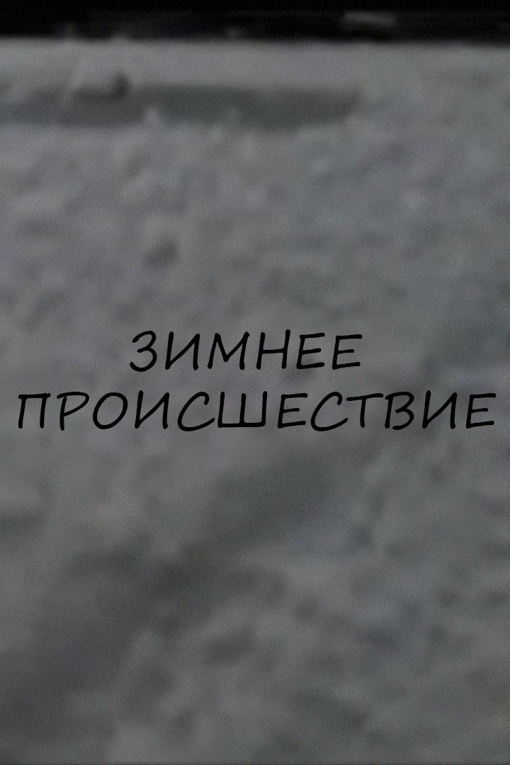 Зимнее происшествие (zimnee-proisshestvie) Фильм 2001