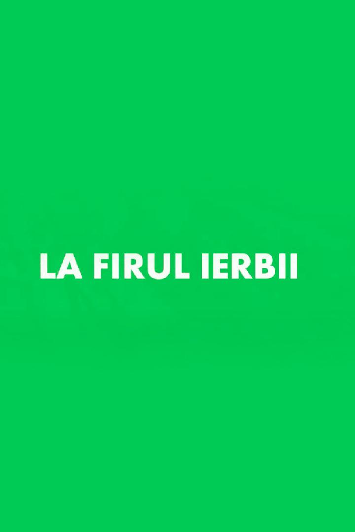 Firul ierbii (firul-ierbii) Познавательное