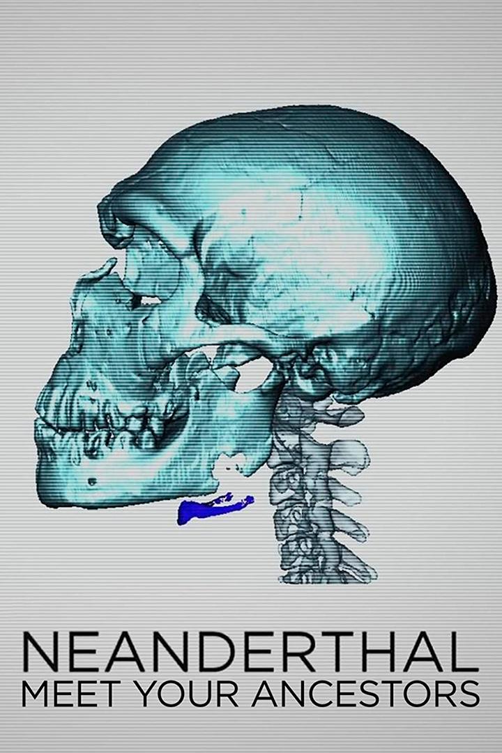 Неандертальцы (neandertaltsy) Познавательное