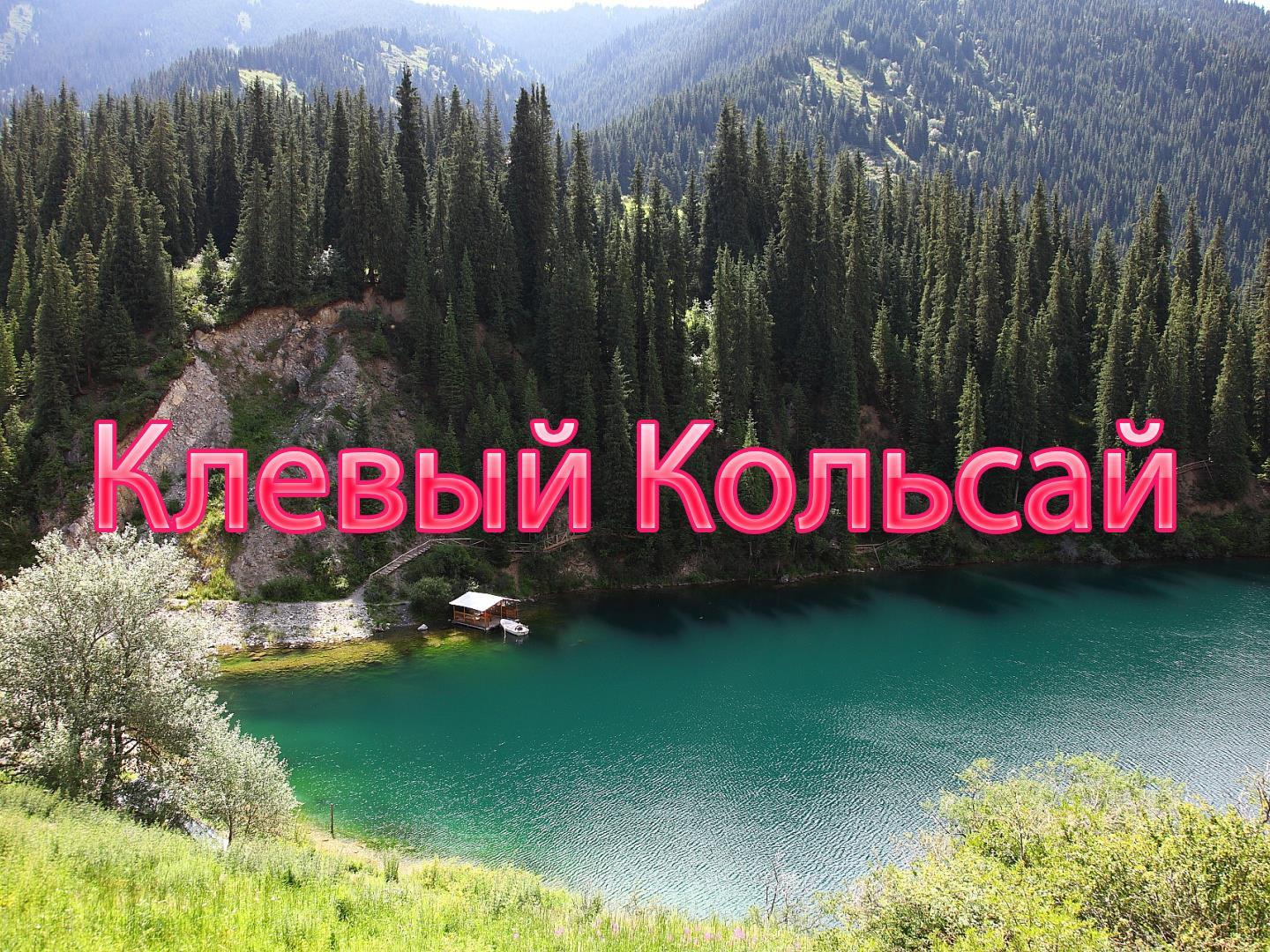 Клевый Кольсай (klevyj-kolsaj) Документальный сериал