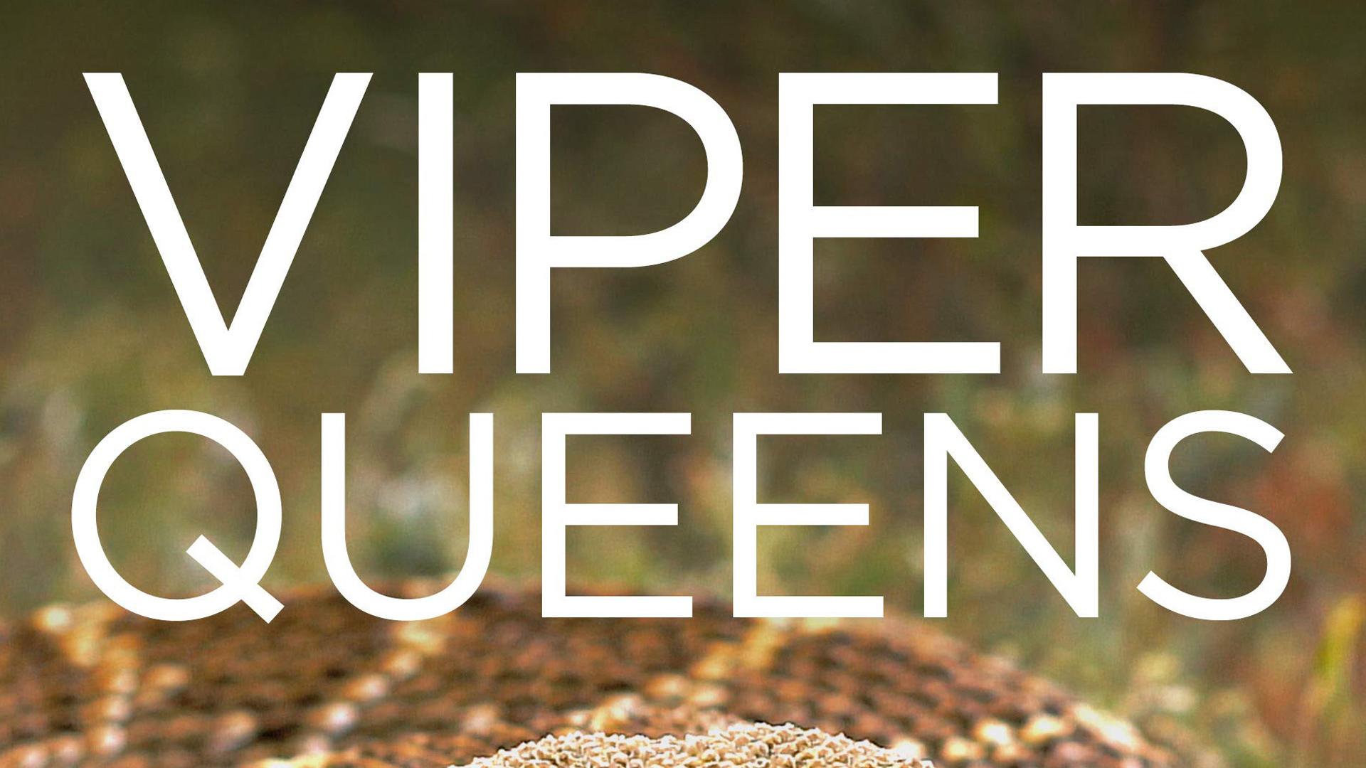 Королевы гадюк (korolevy-gadjuk) Документальный фильм