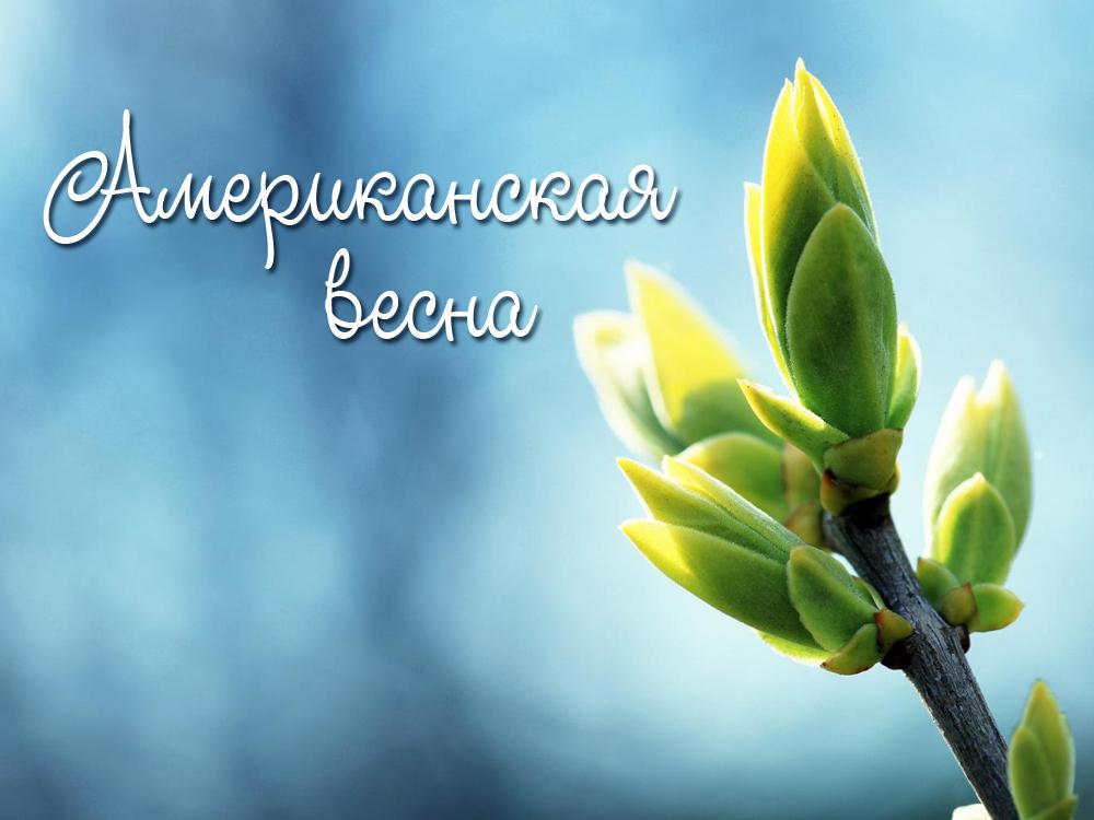 Американская весна (amerikanskaja-vesna) Документальный сериал