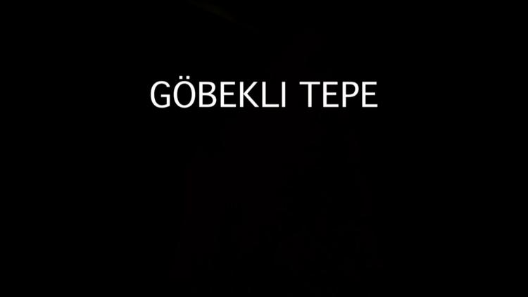 Постер Göbekli Tepe