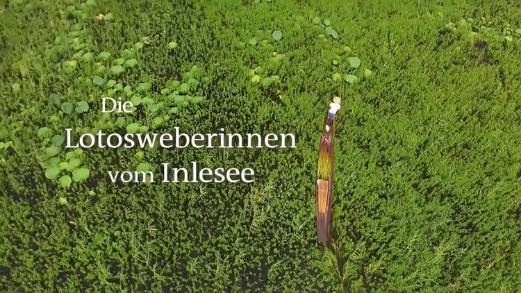 Постер Die Lotosweberinnen vom Inlesee