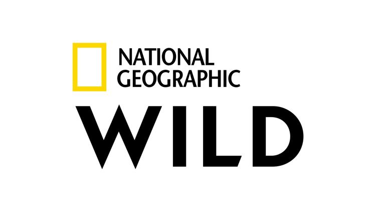 Постер NGC Wild