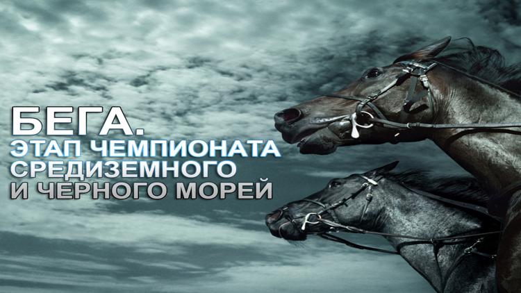 Постер Конный спорт. Бега. Этап чемпионата Средиземного и Черного морей. Трансляция из Москвы