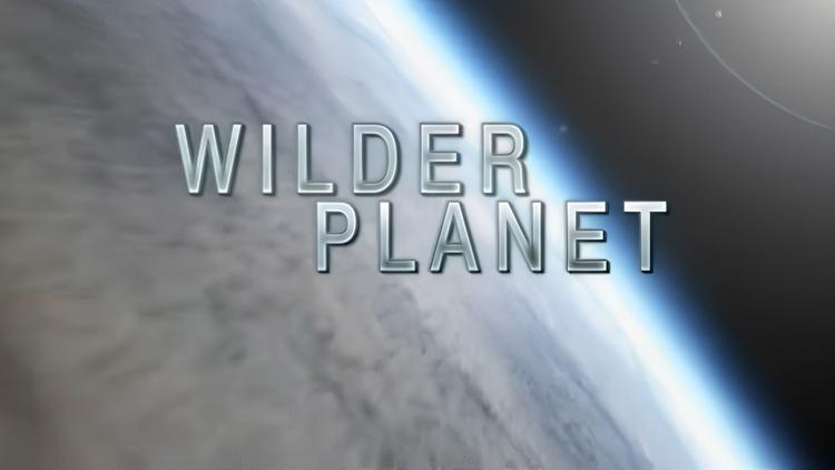 Постер Wilder Planet