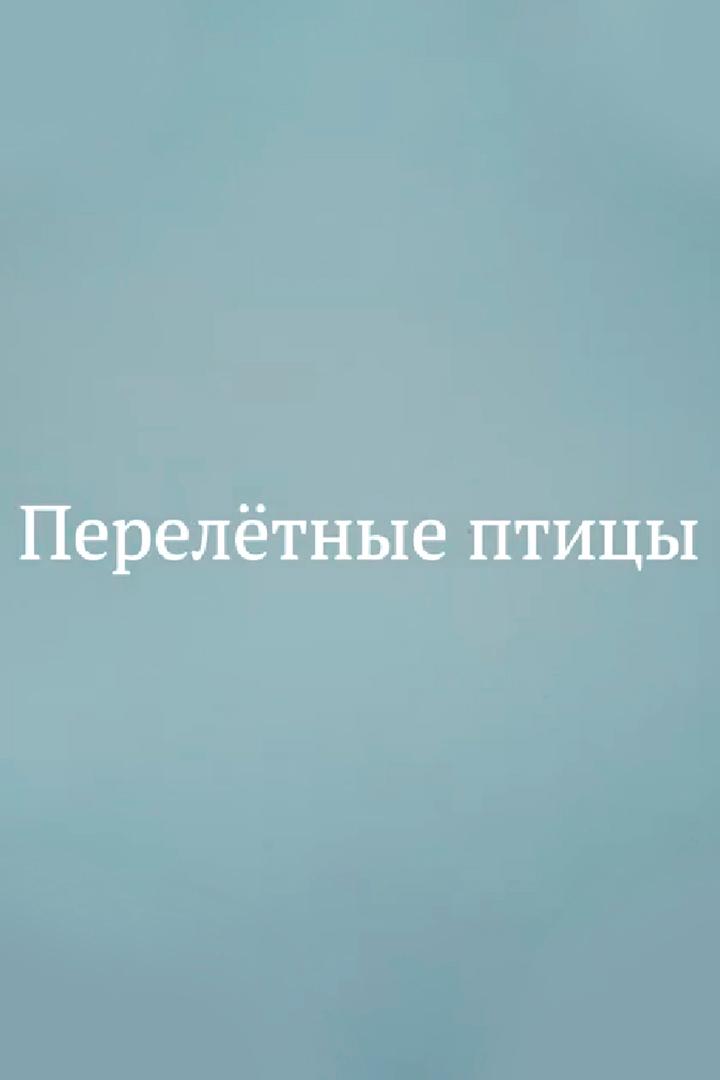Перелётные птицы (pereletnye-ptitsy) Документальный фильм