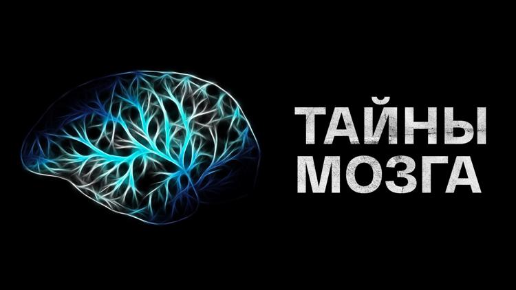 Постер Тайны мозга