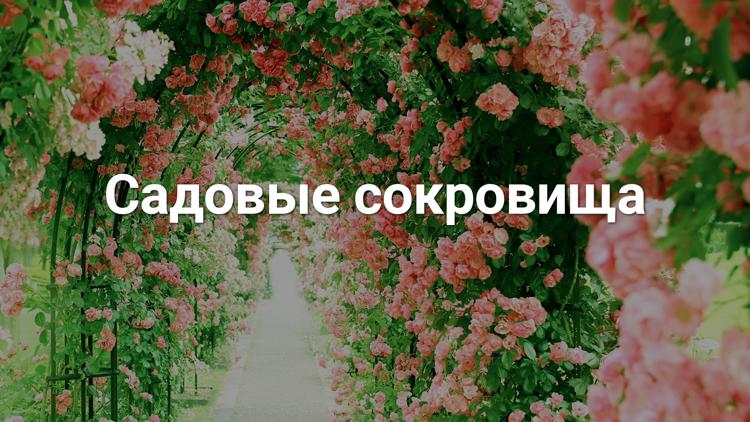 Постер Садовые сокровища