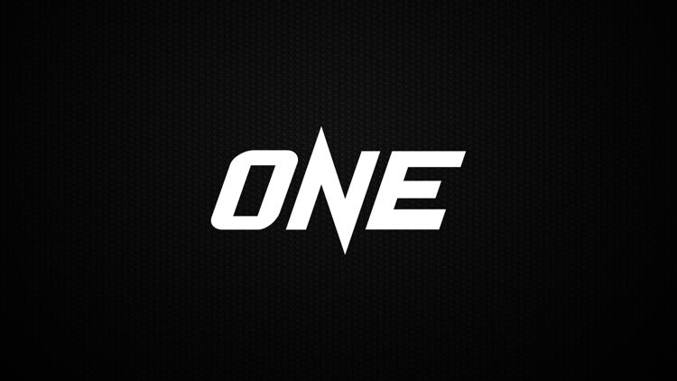 Постер Смешанные единоборства ONE FC