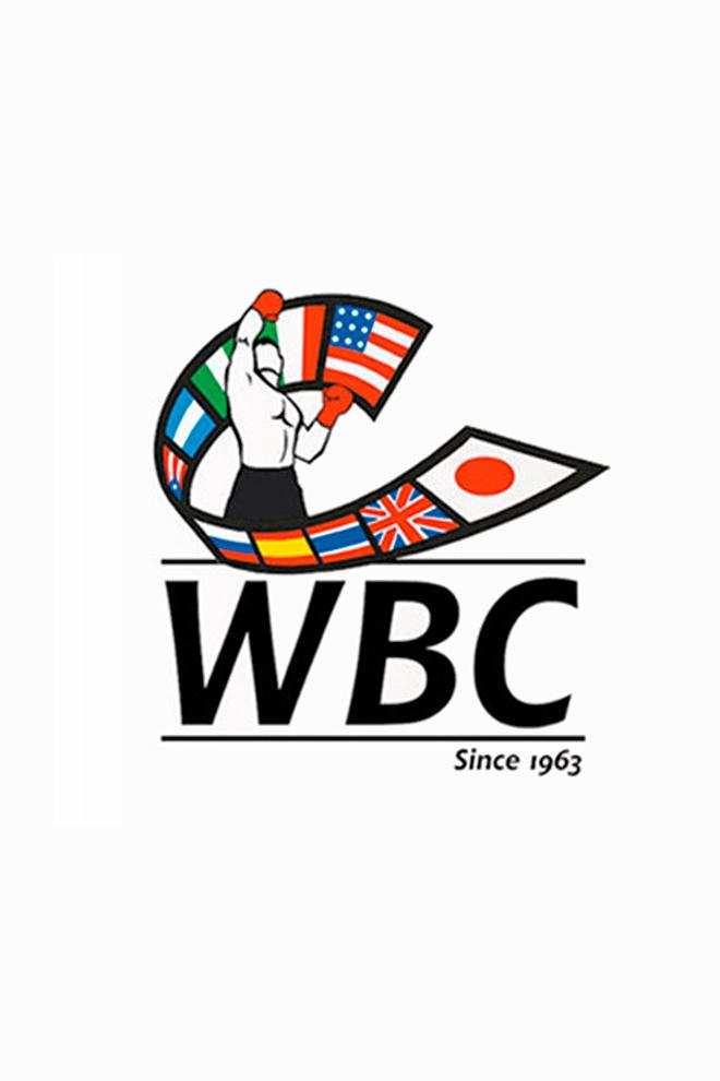 Бой за вакантный титул WBA Fedelatin в полулёгком весе. Антонио Серменьо - Шамир Рейес. Обзор (boj-za-vakantnyj-titul-wba-fedelatin-v-polulegkom-vese-antonio-sermeno-shamir-rejes-obzor) Досуг, хобби