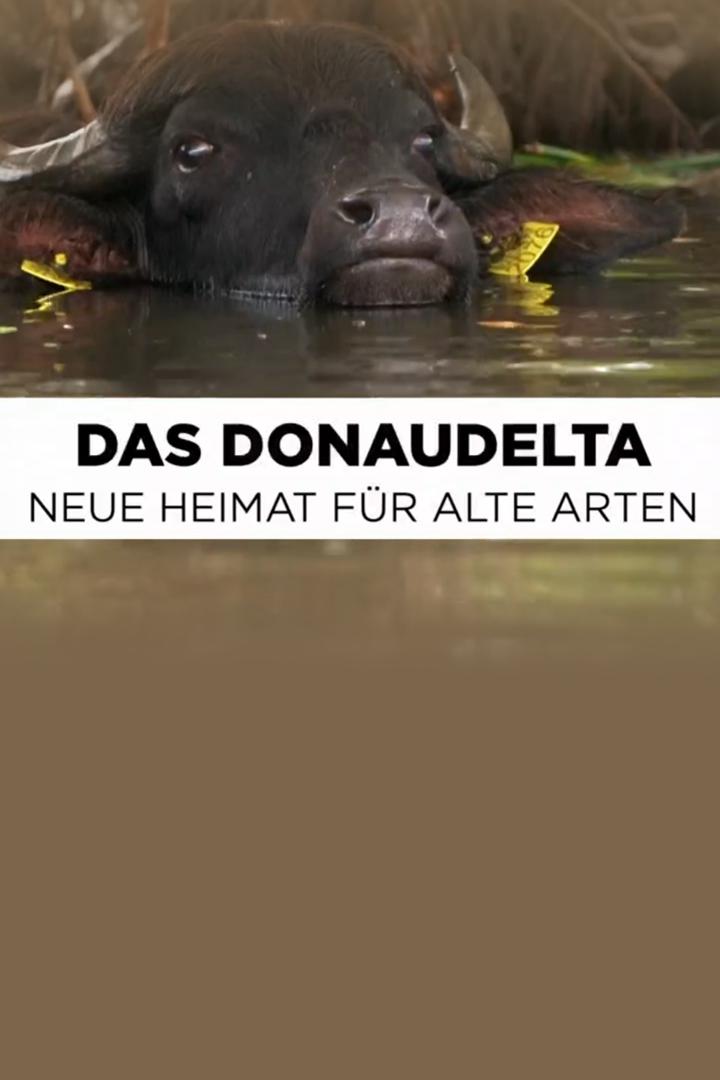 Das Donaudelta (das-donaudelta) Документальный фильм