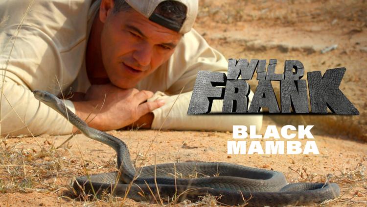 Постер Wild Frank: Black Mamba