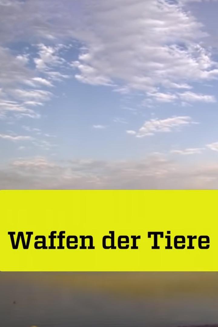 Waffen der Tiere (waffen-der-tiere) ТВ-шоу