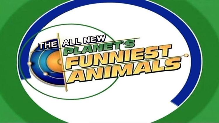 Постер The All New Planet's Funniest Animals