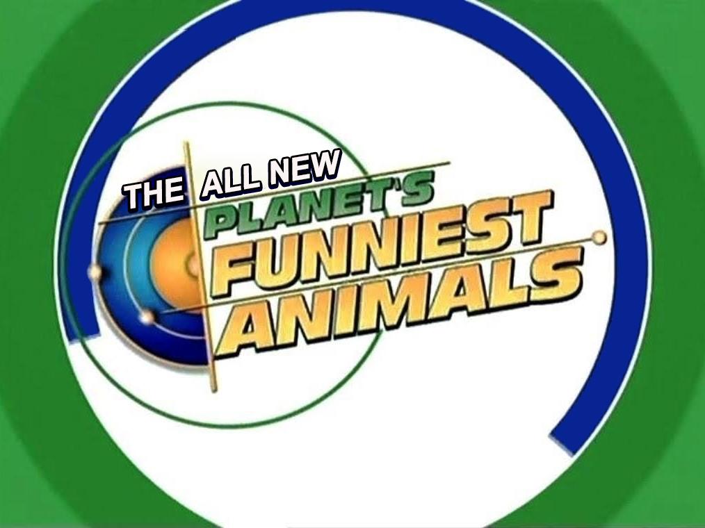 The All New Planet's Funniest Animals (the-all-new-planets-funniest-animals) Досуг, хобби