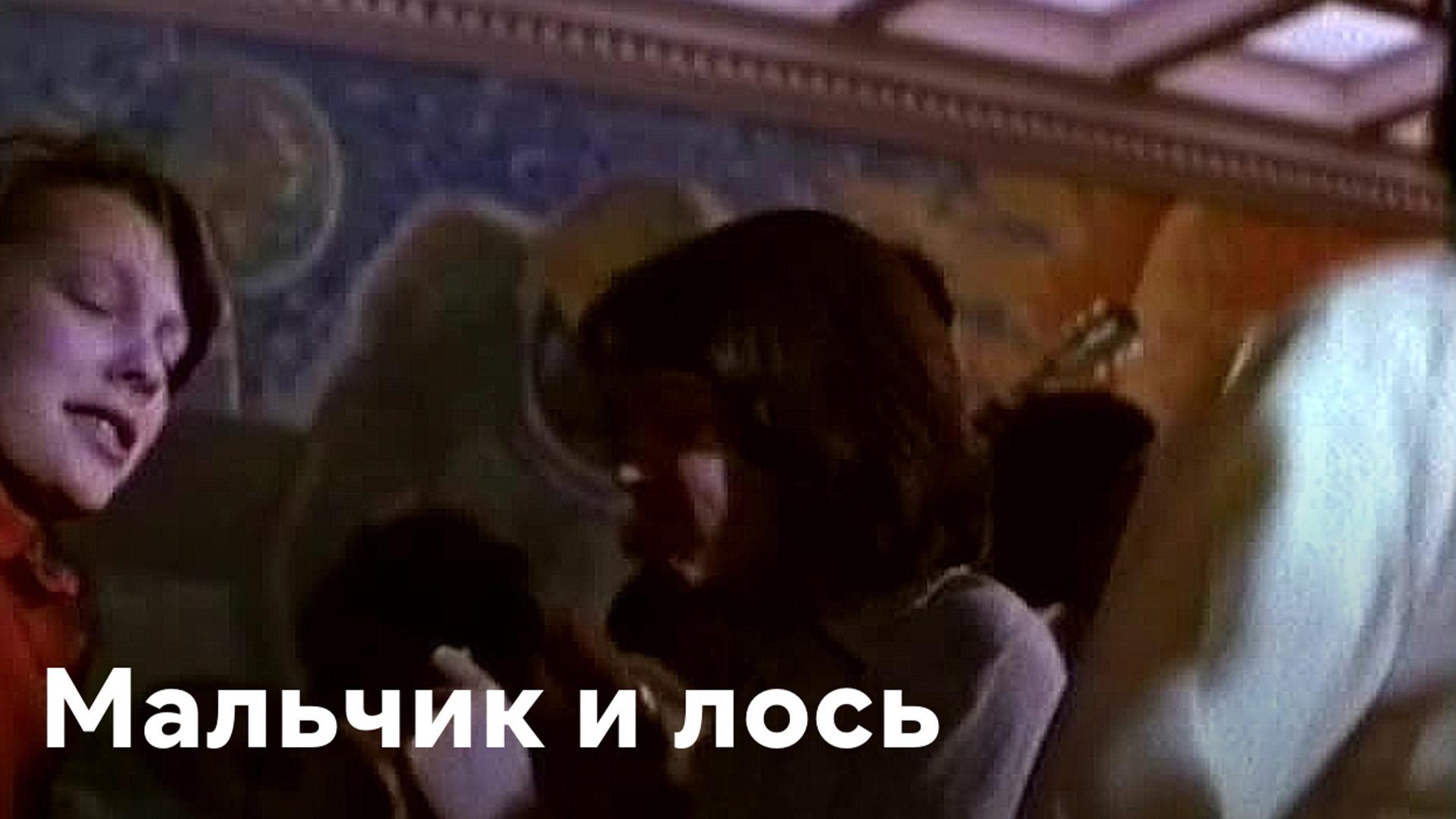 Мальчик и лось (malchik-i-los) Фильм 1975